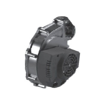 WM383900038