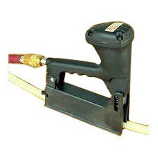 PMIRB6